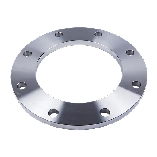 Titanium UNS R50400 Plate Flange